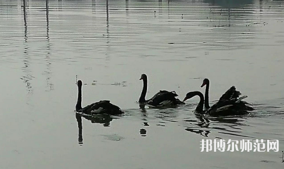 浙江師范大學行知學院蘭溪校區(qū)2023年怎么樣、好不好