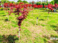 漢中職業(yè)技術(shù)師范學(xué)院2023年怎么樣、好不好