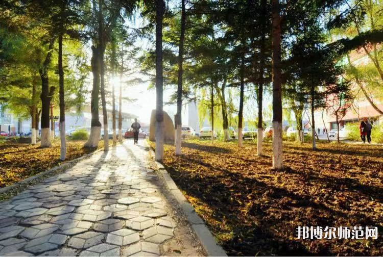 長春大學師范學院主校區(qū)2023年報名條件、招生要求、招生對象