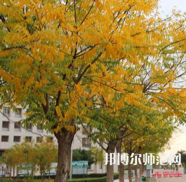 延川幼師職教中心2023年學(xué)費、收費多少