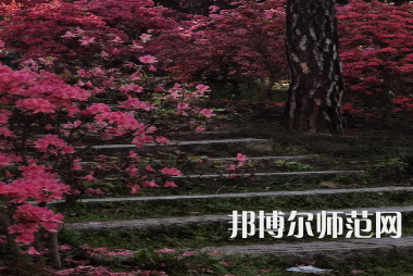 信陽師范學(xué)院華銳學(xué)院2023年報(bào)名條件、招生要求、招生對(duì)象