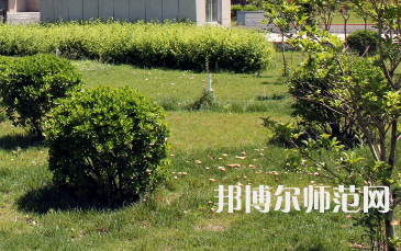 安陽幼兒師范高等?？茖W(xué)校歷年招生錄取分數(shù)線