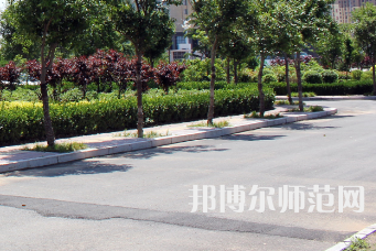 安陽幼兒師范高等專科學(xué)校2023年有哪些專業(yè)