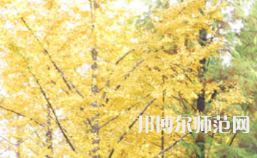 信陽師范學(xué)院2023年怎么樣、好不好