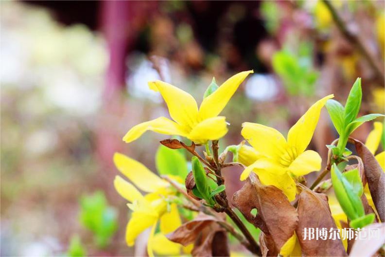 長春理工師范大學(xué)2023年怎么樣、好不好