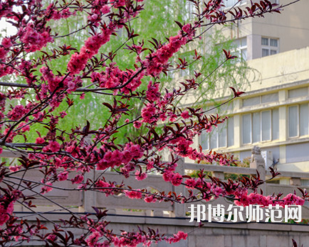蘇州科技師范大學天平學院2023年報名條件、招生要求、招生對象