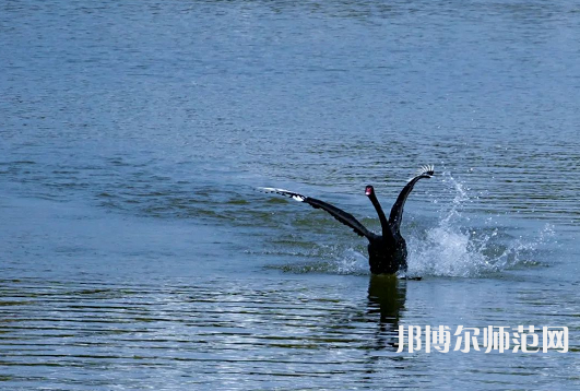 浙江師范大學2023年怎么樣、好不好