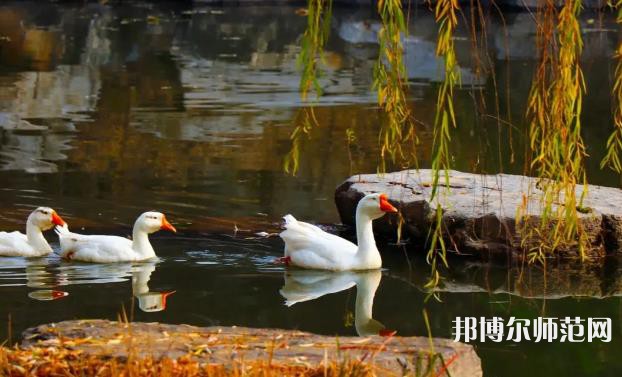 山東財經(jīng)師范大學萊蕪校區(qū)2023年報名條件、招生要求、招生對象 