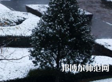 焦作師范高等?？茖W(xué)校2023年報(bào)名條件、招生要求、招生對(duì)象