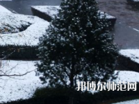 焦作師范高等專科學(xué)校2023年報名條件、招生要求、招生對象