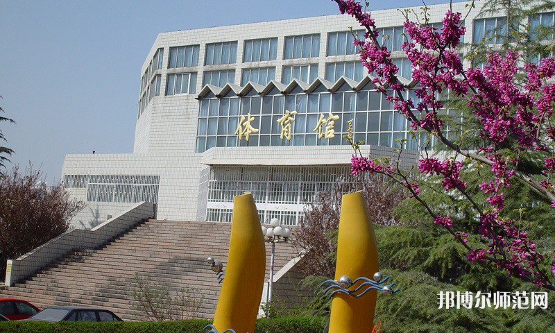 山東財經(jīng)師范大學圣井校區(qū)2023年報名條件、招生要求、招生對象 