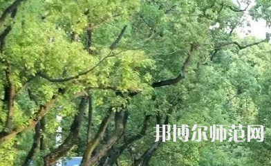 湖南理工師范學(xué)院南湖學(xué)院2023年報(bào)名條件、招生要求、招生對(duì)象