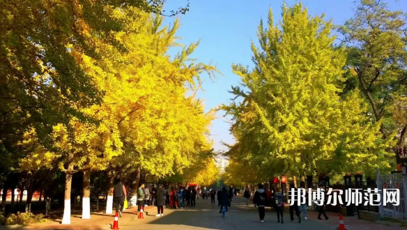 遼寧大學(xué)師范學(xué)院崇山校區(qū)2023年報(bào)名條件、招生要求、招生對(duì)象