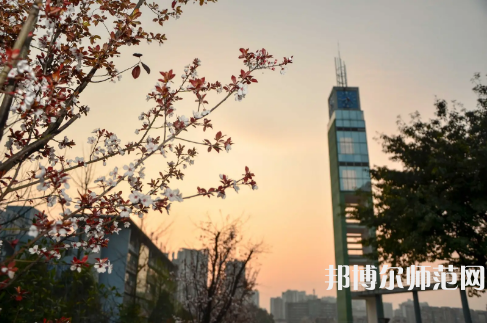 重慶文理師范學(xué)院星湖校區(qū)2023年學(xué)費(fèi)、收費(fèi)多少