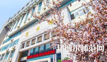南華師范大學(xué)雨母校區(qū)2023年報(bào)名條件、招生要求、招生對(duì)象
