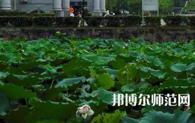 南華師范大學(xué)紅湘校區(qū)2023年報(bào)名條件、招生要求、招生對(duì)象