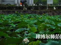 南華師范大學(xué)紅湘校區(qū)2023年報(bào)名條件、招生要求、招生對(duì)象
