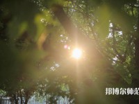 咸陽職業(yè)技術(shù)師范學(xué)院2023年報(bào)名條件、招生要求、招生對(duì)象