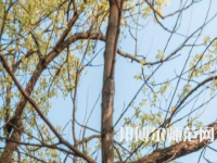 湖南大學(xué)師范學(xué)院南校區(qū)2023年怎么樣、好不好