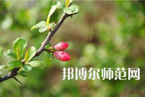 西安幼兒師范職業(yè)學校2023年學費、收費多少