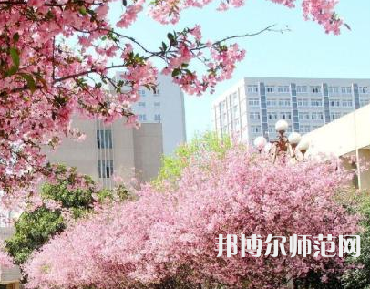 中國礦業(yè)師范大學(xué)徐海學(xué)院2023年報(bào)名條件、招生要求、招生對象