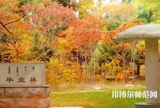 內(nèi)蒙古大學(xué)師范學(xué)院滿洲里學(xué)院2023年怎么樣、好不好
