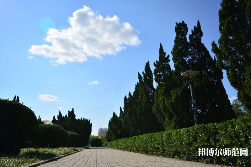 山東石油化工師范學(xué)院2023年報(bào)名條件、招生要求、招生對(duì)象 