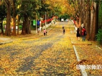 海南大學師范學院海甸校區(qū)2023年報名條件、招生要求、招生對象