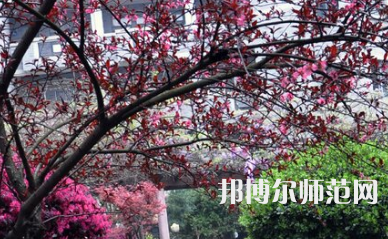 湖南第一師范學院城南書院校區(qū)2023年怎么樣、好不好