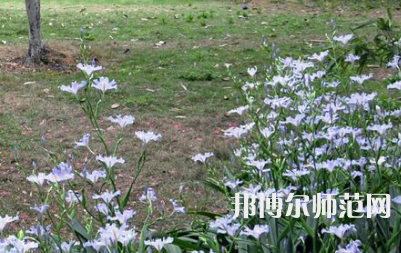 湖南第一師范學院城南書院校區(qū)2023年怎么樣、好不好