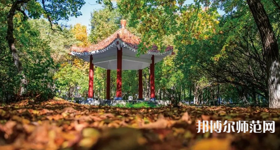 黑龍江師范大學(xué)2023年報(bào)名條件、招生要求、招生對象 