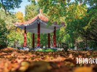 黑龍江師范大學2023年報名條件、招生要求、招生對象