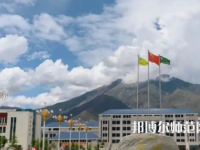 拉薩師范高等?？茖W(xué)校2023年招生代碼