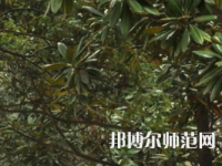 湖南師范大學樹達學院2023年學費、收費多少