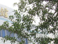 湖南師范大學(xué)樹達(dá)學(xué)院2023年怎么樣、好不好