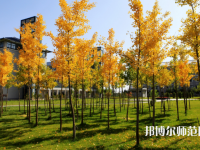 瀘州幼師職業(yè)技術(shù)學(xué)校2023年學(xué)費(fèi)、收費(fèi)多少
