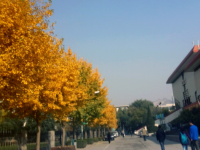 西北師范大學(xué)2023年怎么樣、好不好
