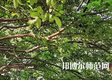 湖南師范大學2023年報名條件、招生要求、招生對象