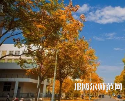 南京師范大學(xué)泰州學(xué)院2023年報(bào)名條件、招生要求、招生對象