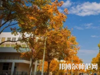 南京師范大學泰州學院2023年報名條件、招生要求、招生對象