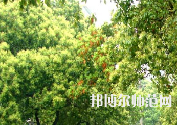 衡陽(yáng)師范學(xué)院南岳學(xué)院2023年怎么樣、好不好