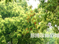 衡陽師范學(xué)院南岳學(xué)院2023年怎么樣、好不好