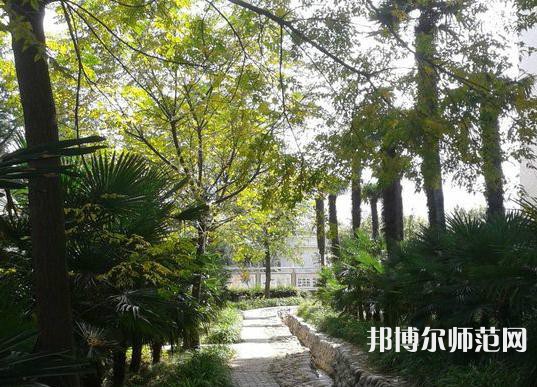 西北大學(xué)師范學(xué)院桃園校區(qū)2023年怎么樣、好不好