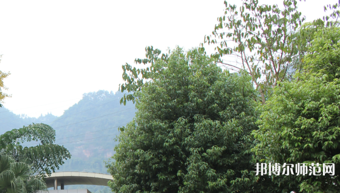 自貢大安幼師職業(yè)技術(shù)學(xué)校2023年學(xué)費(fèi)、收費(fèi)多少