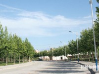 西北大學(xué)師范學(xué)院太白校區(qū)2023年報(bào)名條件、招生要求、招生對(duì)象