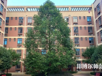 四川師范大學(xué)成都學(xué)院眉山校區(qū)2023年怎么樣、好不好