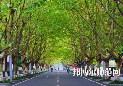 四川農(nóng)業(yè)師范大學(xué)雅安校區(qū)2023年怎么樣、好不好