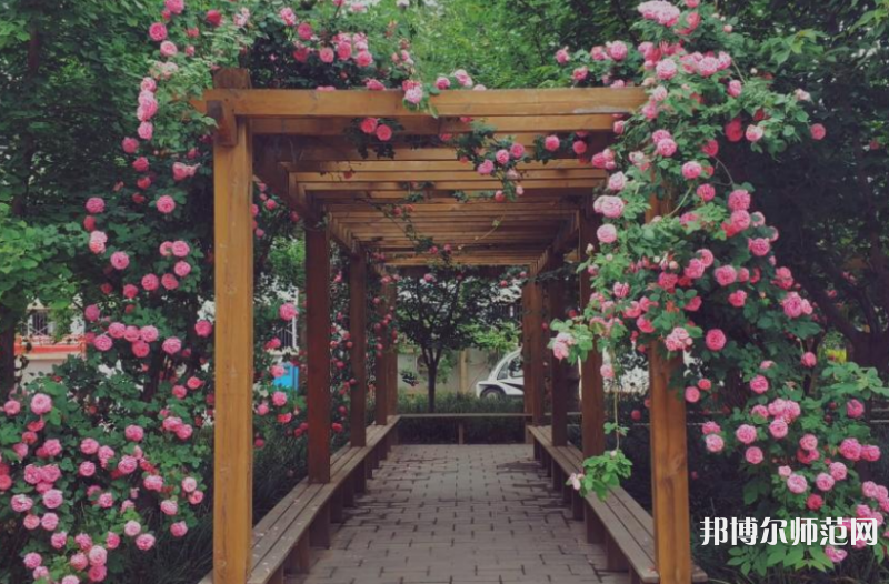 西安工業(yè)師范大學(xué)2023年報(bào)名條件、招生要求、招生對(duì)象