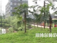 2023年瀘州天宇幼師中等職業(yè)技術(shù)學(xué)校報(bào)名條件、招生對(duì)象