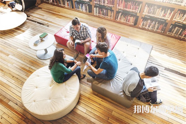 深圳藝術(shù)教育學校有哪些 深圳藝術(shù)教育學校名單一覽表